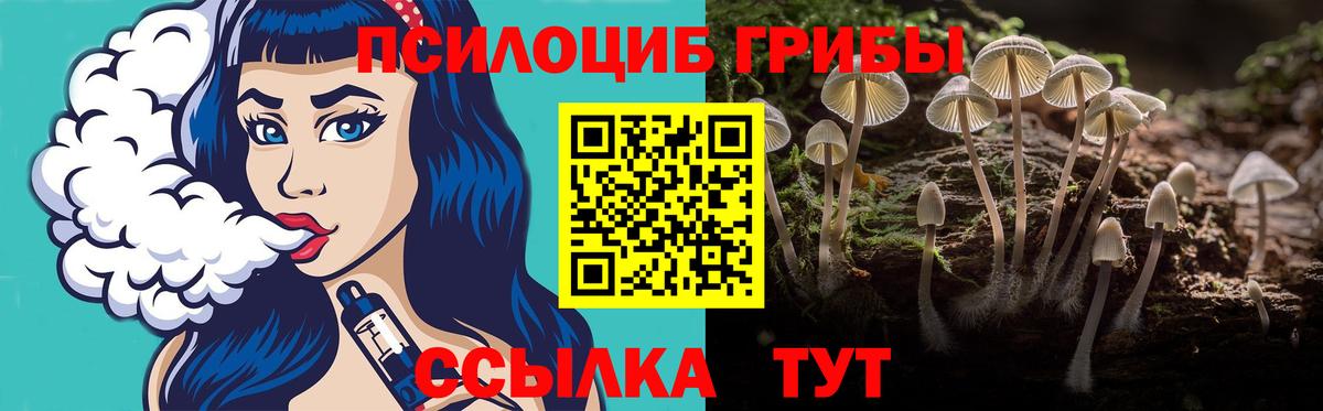 Псилоцибиновые грибы Cubensis  Вход с VPN  Барабинск 